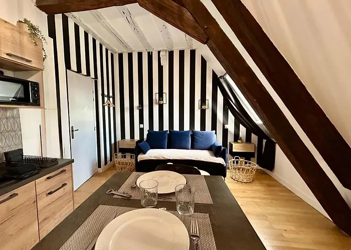 Διαμέρισμα Le Petit Lemullier, Hypercenter Ντιζόν