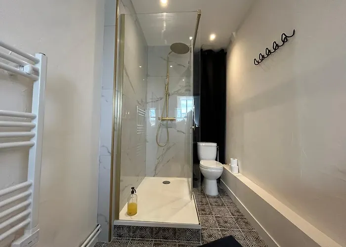 Διαμέρισμα Le Petit Lemullier, Hypercenter Ντιζόν